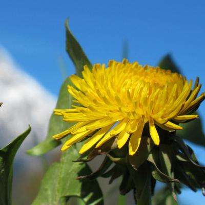 极速赛车游戏app下载