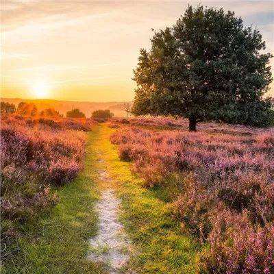 澳门黄金城手机app下载