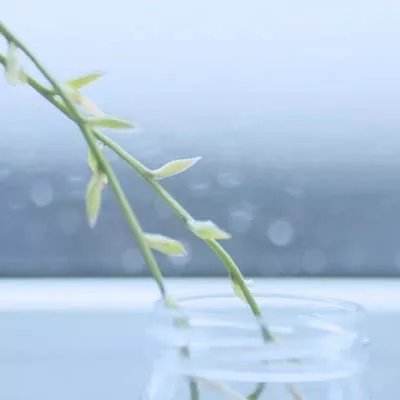 b体育官方体育app下载手机版